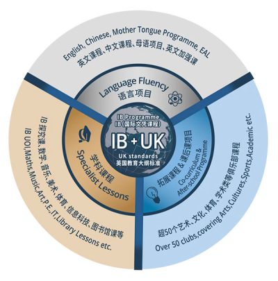 小学课程解析 | 连接世界的桥梁,培养全球公民插图3 小学课程解析 | 连接世界的桥梁,培养全球公民插图3